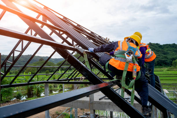 Best Metal Roofing Contractor  in Third Lake, IL