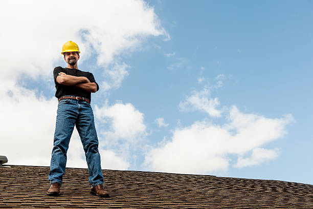 Best Flat Roof Repair Services  in Third Lake, IL