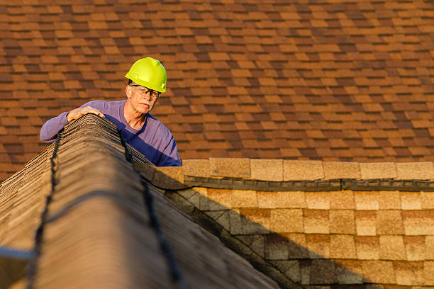 Best Roof Leak Repair  in Third Lake, IL